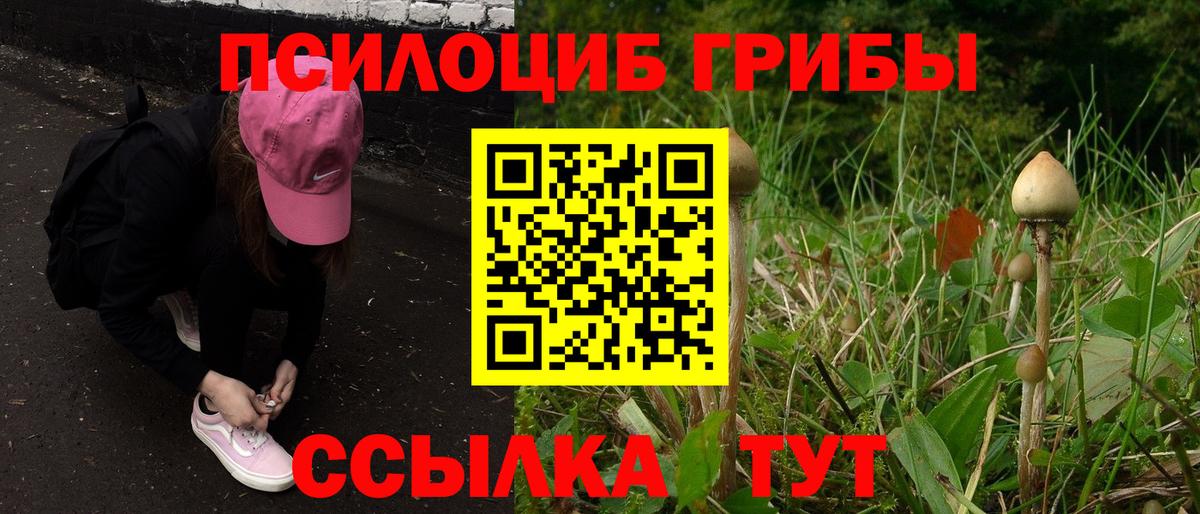 Псилоцибиновые грибы MAGIC MUSHROOMS Миллерово