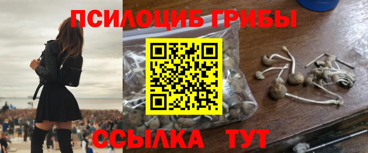 Псилоцибиновые грибы мицелий  Галлюциногенные грибы GOLDEN TEACHER  Вход с VPN  Миллерово 